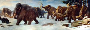 Woolly Mammoth