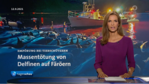 Screenshot from Tagesschau depicting international outcry against dolphin hunt