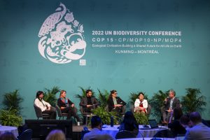 Kunming-Montreal Global Biodiversity Framework
